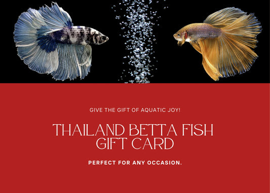 Thailand Betta Fish Gift Card
